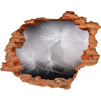 Fototapeta Samolepící díra nálepka Semena pampelišky