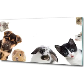 Obraz Fotoobraz na skle Koně ve cvalu