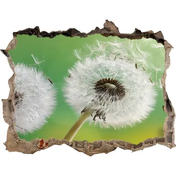 Fototapeta Samolepící díra nálepka Pampelišky