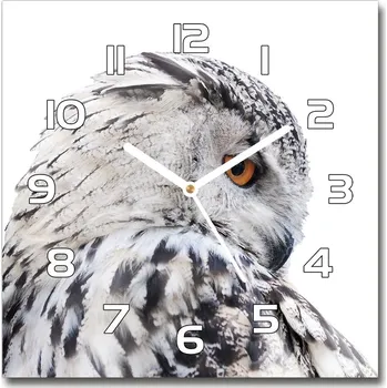 Hodiny Skleněné hodiny čtverec Bílá sova