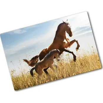 Kuchyňské prkénko Kuchyňská deska skleněná Kobyla hříbě