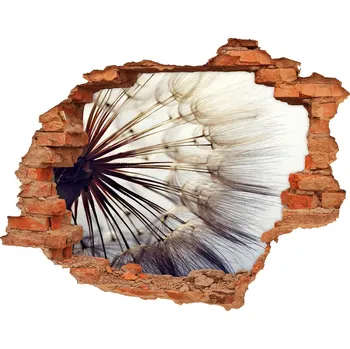 Fototapeta Samolepící díra nálepka Pampeliška