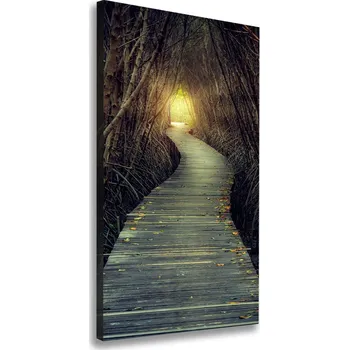 Obraz Vertikální Foto obraz na plátně Stezka v lese
