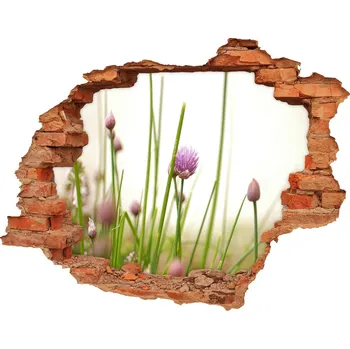 Fototapeta Samolepící nálepka na zeď Pažitka