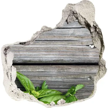 Fototapeta Fototapeta díra na zeď Dřevěné pozadí bylinky