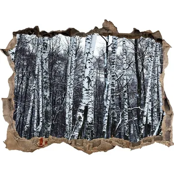 Fototapeta Nálepka fototapeta 3D výhled Břízy zima