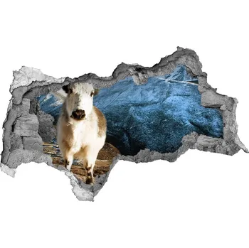 Fototapeta Díra 3D fototapeta nálepka Hory