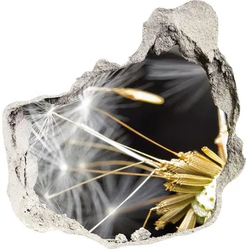 Fototapeta Samolepící díra na stěnu Semena pampelišky