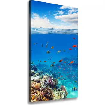 Obraz Vertikální Foto obraz na plátně Korálový útes