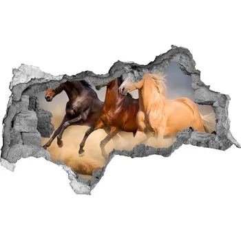 Fototapeta Díra 3D foto tapeta nálepka Koně ve cvalu