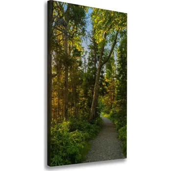 Obraz Vertikální Foto obraz na plátně Stezka v lese
