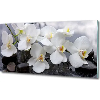 Obraz Foto obraz skleněný horizontální Orchidej