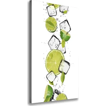 Obraz Vertikální Foto obraz na plátně Limetka a led