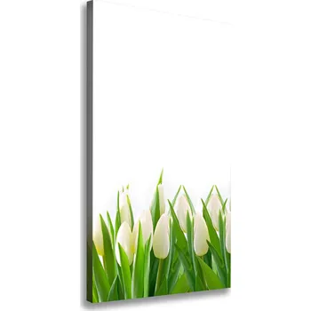 Obraz Foto-obraz canvas do obýváku Bílé tulipány