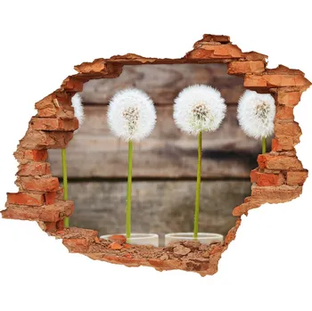 Fototapeta Samolepící díra nálepka Pampelišky