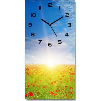 Hodiny Moderní hodiny nástěnné Pole máků