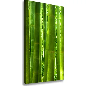 Obraz Vertikální Moderní fotoobraz canvas na rámu Bambus