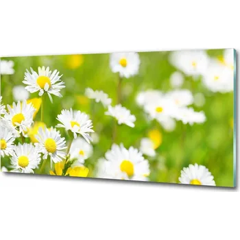 Obraz Foto obraz fotografie na skle Sedmikrásky