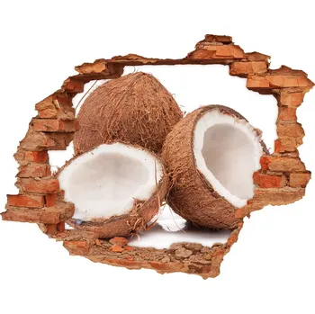 Fototapeta Nálepka 3D díra na zeď Kokos