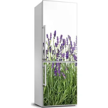 Fototapeta Foto nálepka tapeta lednička Pole levandule