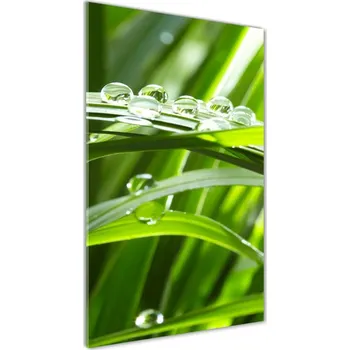Obraz Vertikální Foto obraz sklo tvrzené Stéblo trávy
