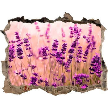 Fototapeta Samolepící díra nálepka beton Levandule