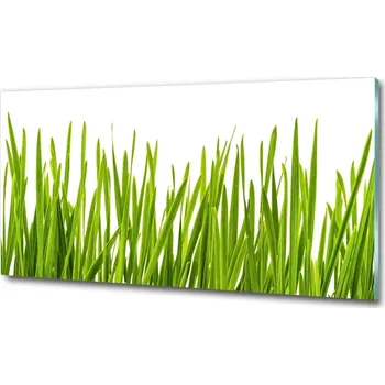 Obraz Fotoobraz na skle Tráva