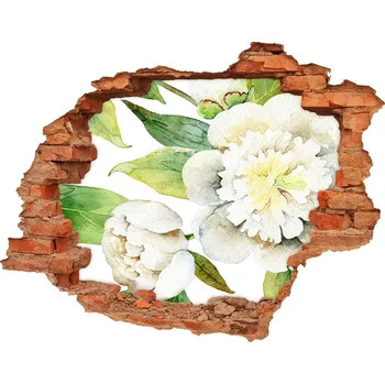 Fototapeta Nálepka 3D díra na zeď beton Pivoňky