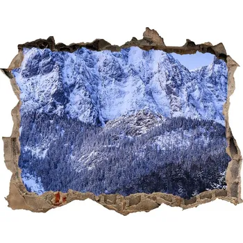 Fototapeta Fototapeta díra na zeď Gievont Tatry