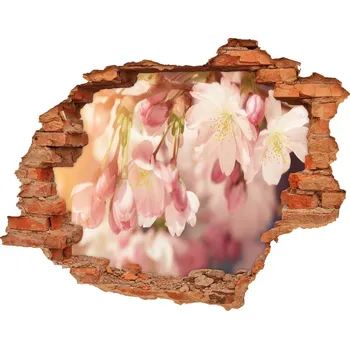 Fototapeta Samolepící díra na stěnu Květy višně