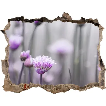 Fototapeta Samolepící díra nálepka Květy pažitky