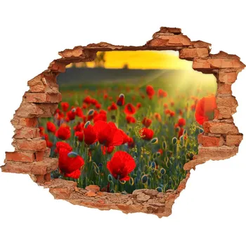 Fototapeta Nálepka fototapeta 3D výhled Pole máků