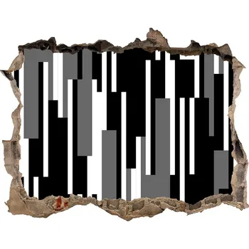 Fototapeta Fototapeta díra na zeď Černobílé linie