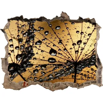 Fototapeta Samolepící nálepka na zeď Semena pampelišky