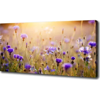 Obraz Foto obraz na plátně Plolní květiny