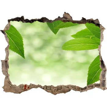 Fototapeta Samolepící díra nálepka Zelené listí