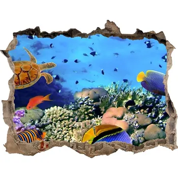 Fototapeta Díra 3D fototapeta nálepka Korálový útes