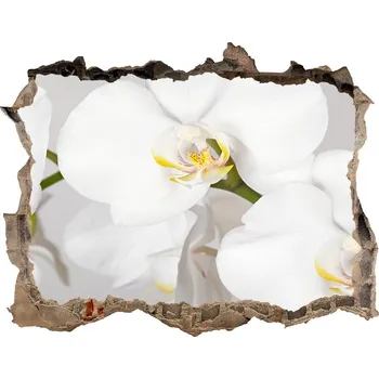 Fototapeta Samolepící nálepka na zeď Orchidej