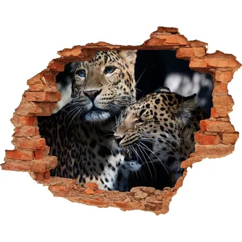 Fototapeta Díra 3D fototapeta na stěnu Levharti