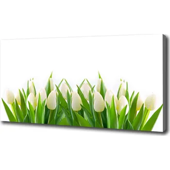 Obraz Foto obraz na plátně Bílé tulipány