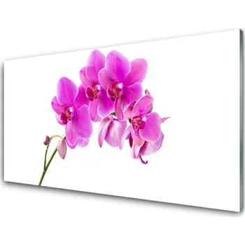 Obraz Obraz na skle Vstavač Květ Orchidej 100x50 cm 2 Přívěsky