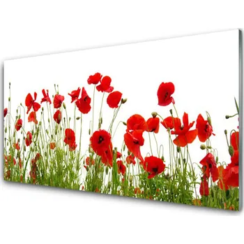 Obraz Obraz na skle Máky Květiny Příroda 125x50 cm 2 Přívěsky