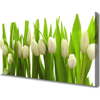 Obraz Obraz na plátně Tulipány Květiny Rostlina 125x50 cm