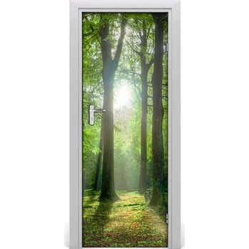 Fototapeta Fototapeta na dveře slunce v lese 75x205 cm