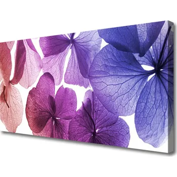 Obraz Obraz na plátně Květiny Rostlina Příroda 120x60 cm