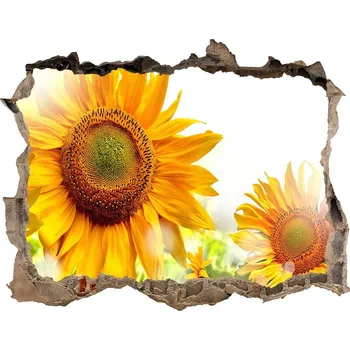 Fototapeta Samolepící díra nálepka Slunečníky