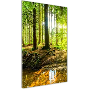 Obraz Vertikální Foto obraz fotografie na skle Slunce v lese