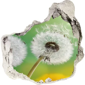 Fototapeta Samolepící díra nálepka Pampelišky