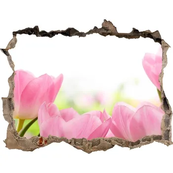 Fototapeta Samolepící díra nálepka Růžové tulipány