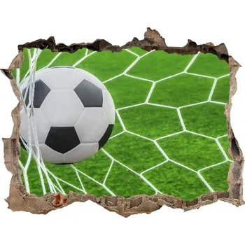 Fototapeta Fototapeta díra na zeď 3D Míč v brance